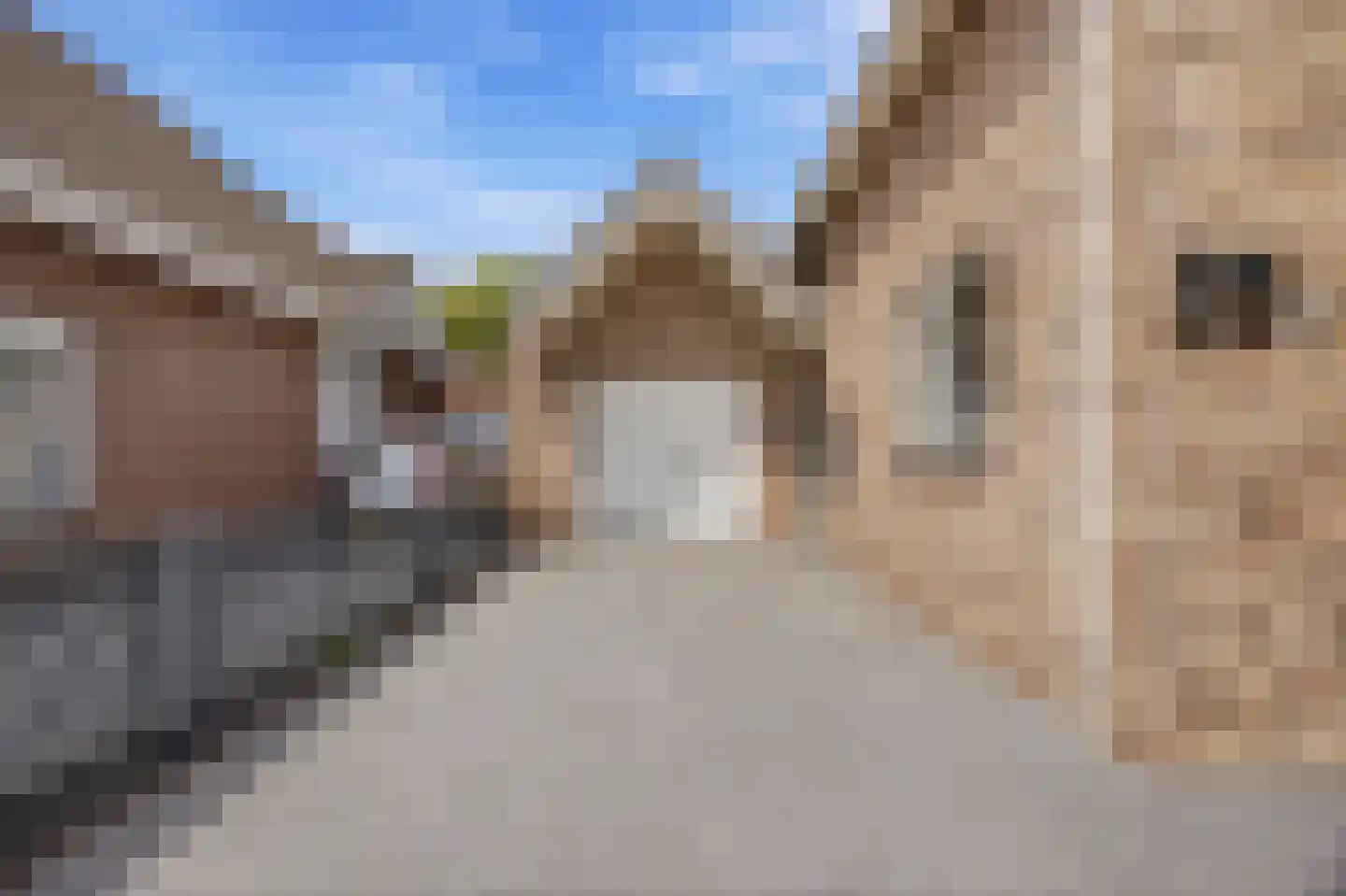 Acaciastraat 25 Made thumbnail 43