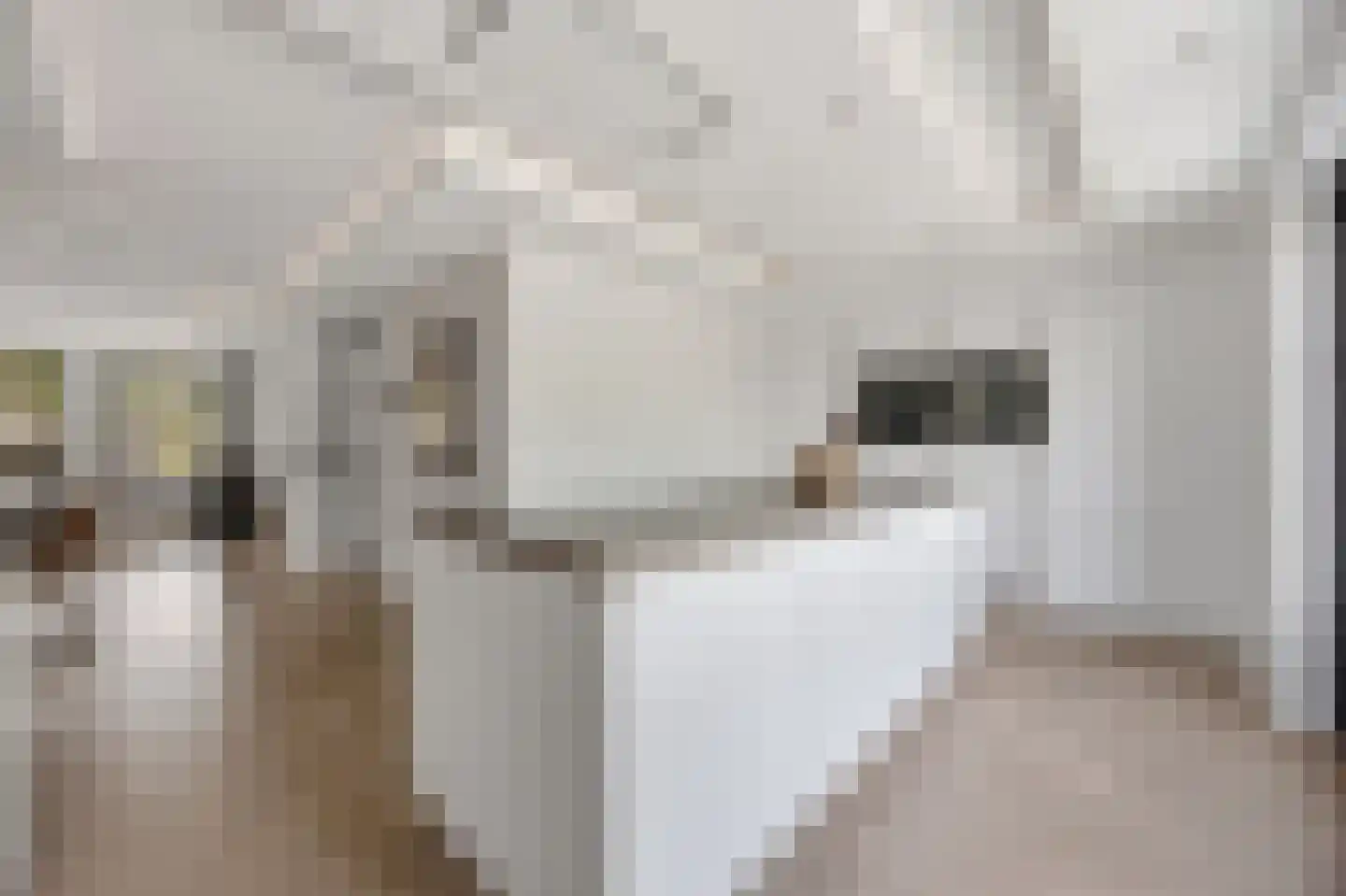 Acaciastraat 25 Made thumbnail 7