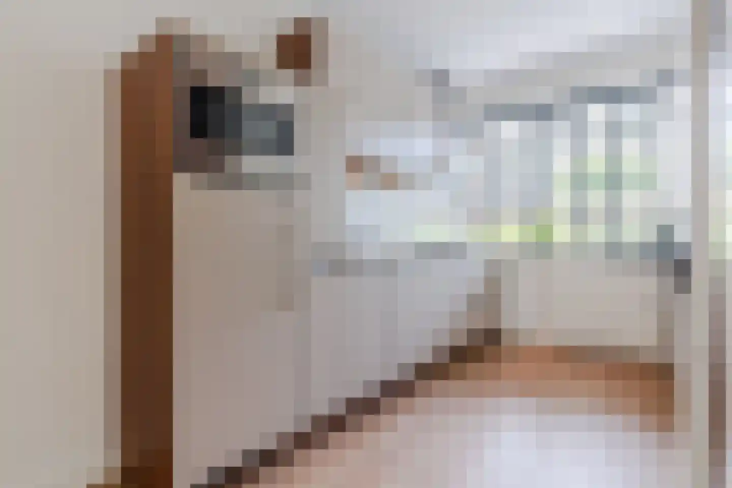 Acaciastraat 25 Rouveen thumbnail 11