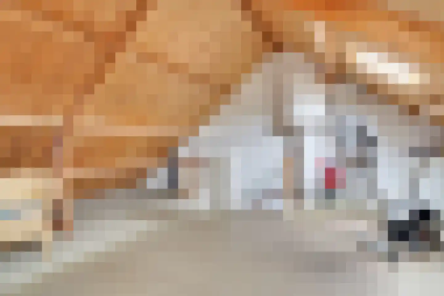Acaciastraat 27 Nieuwegein thumbnail 35
