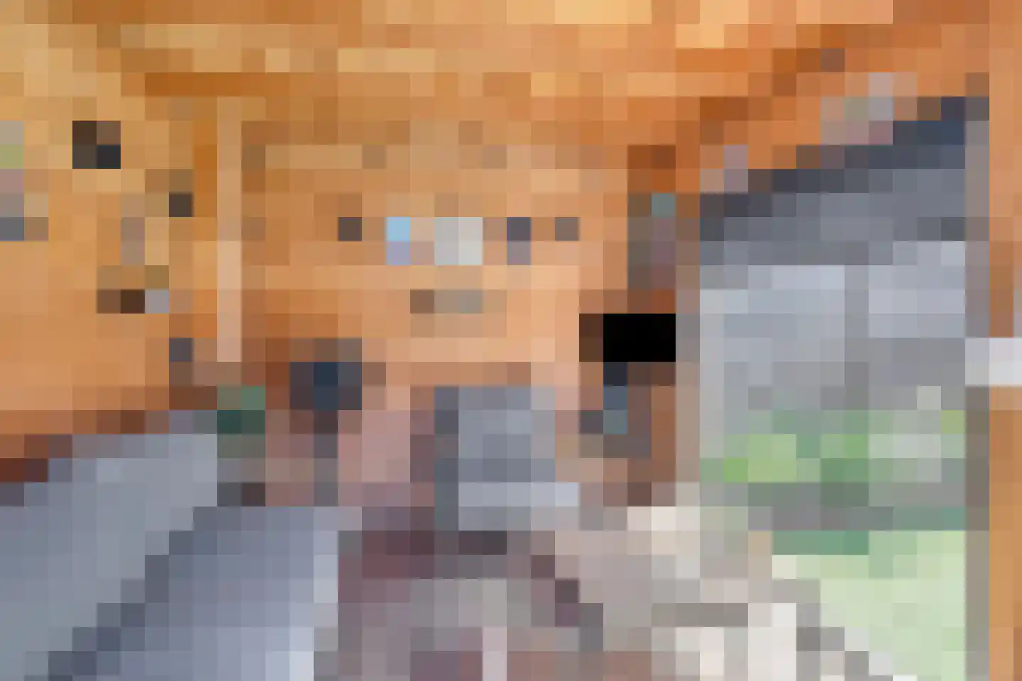 Acaciastraat 29 Lichtenvoorde thumbnail 34