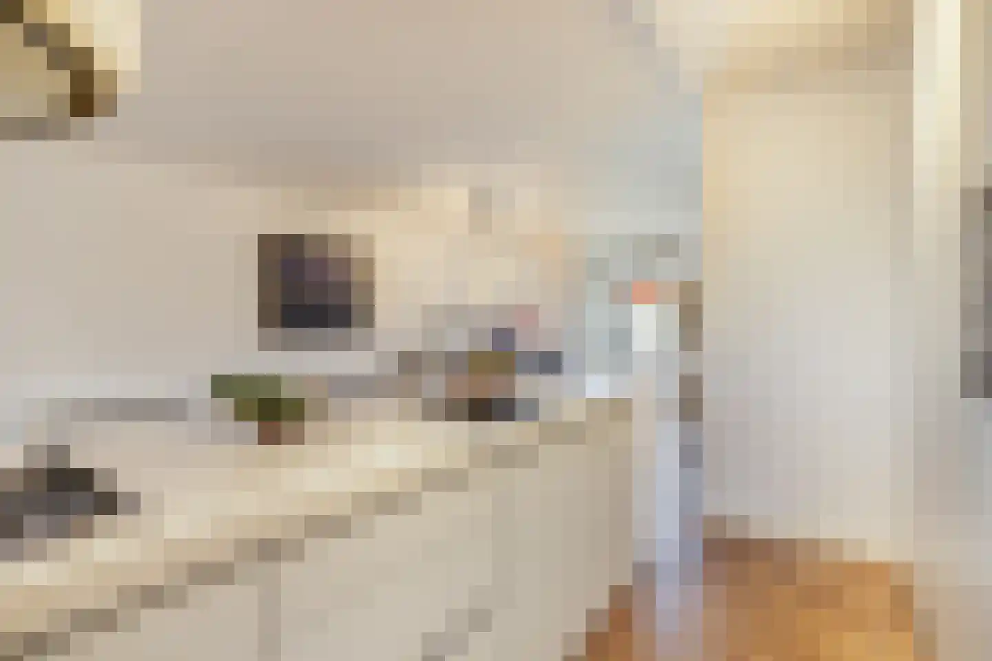 Acaciastraat 3 Utrecht thumbnail 12