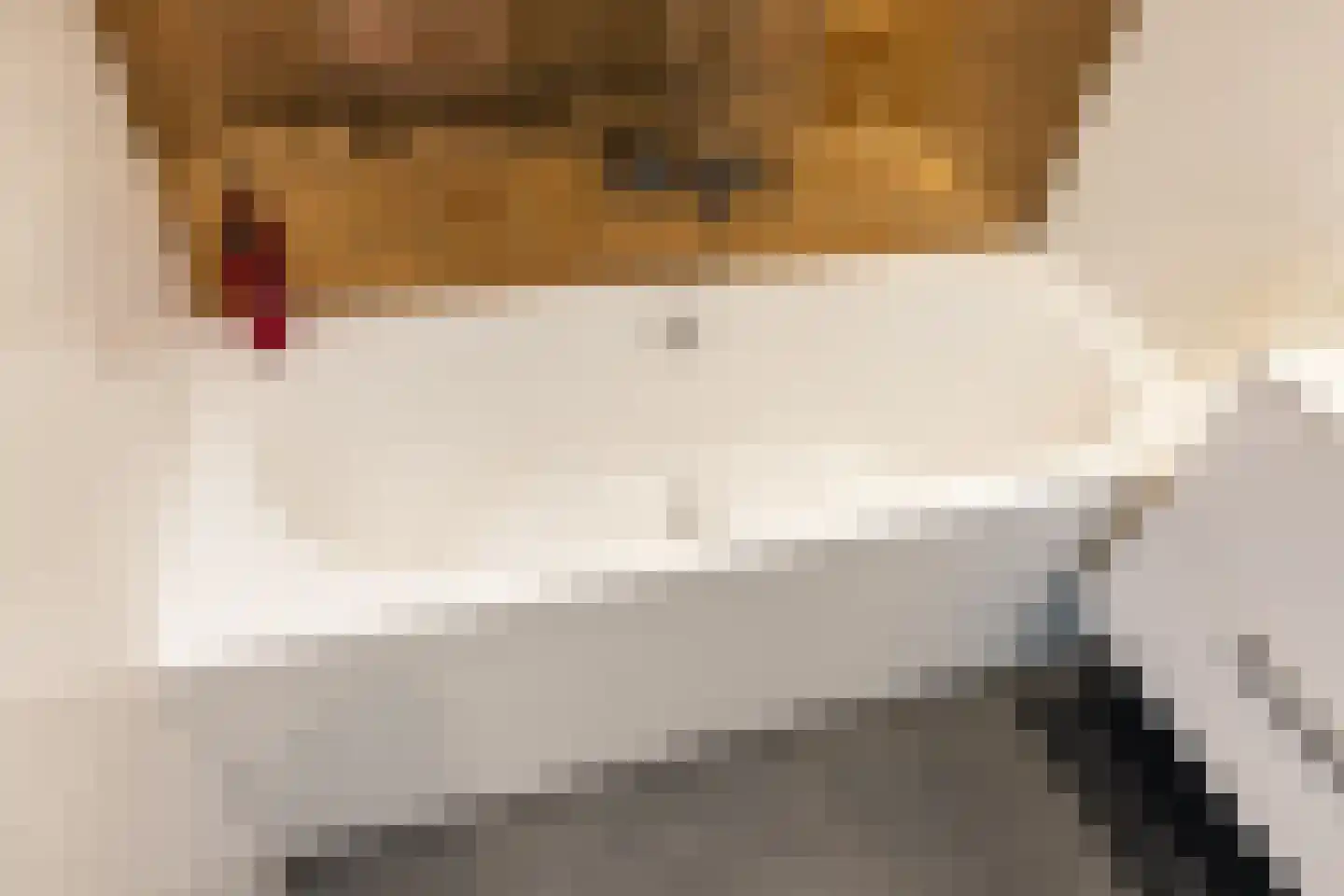 Acaciastraat 3 Utrecht thumbnail 27