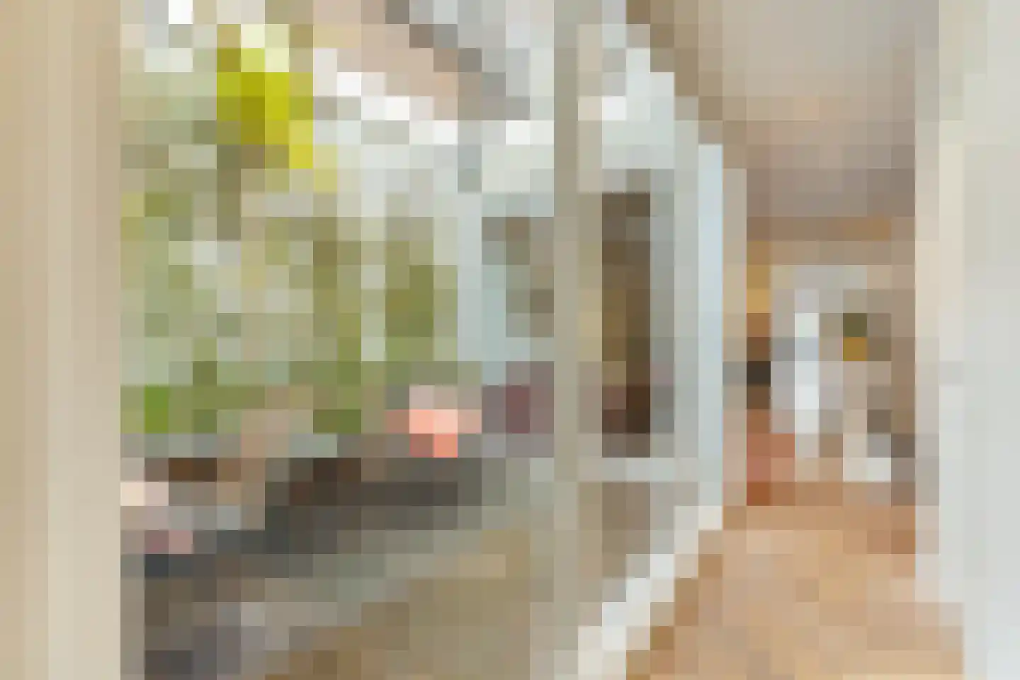 Acaciastraat 3 Utrecht thumbnail 31