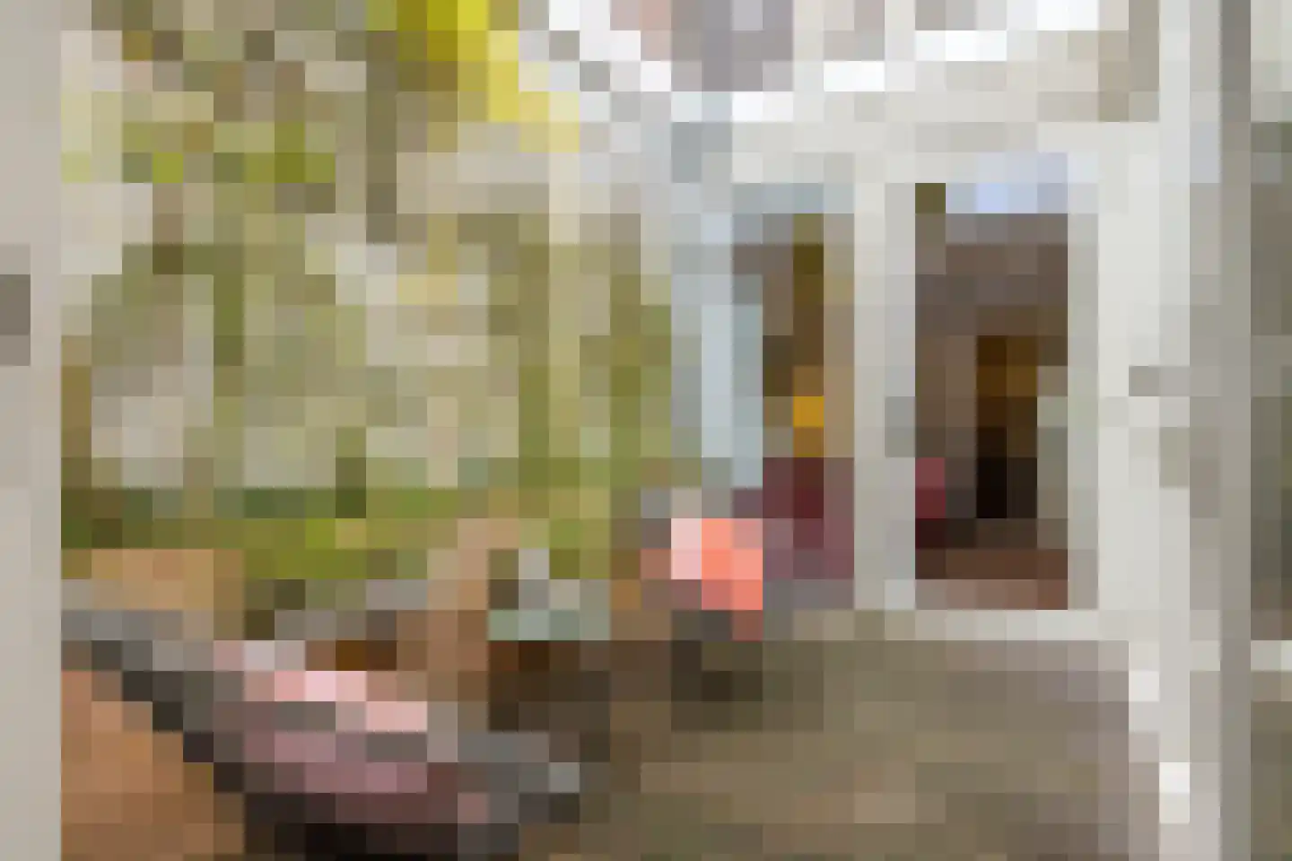 Acaciastraat 3 Utrecht thumbnail 32