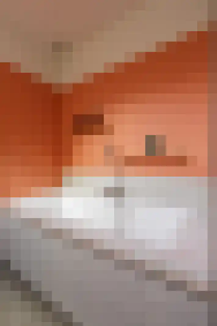 Acaciastraat 30 Utrecht thumbnail 28