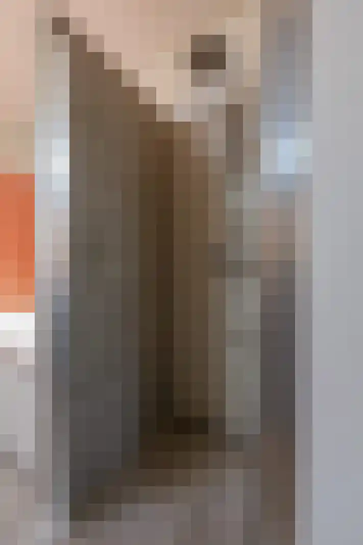 Acaciastraat 30 Utrecht thumbnail 29
