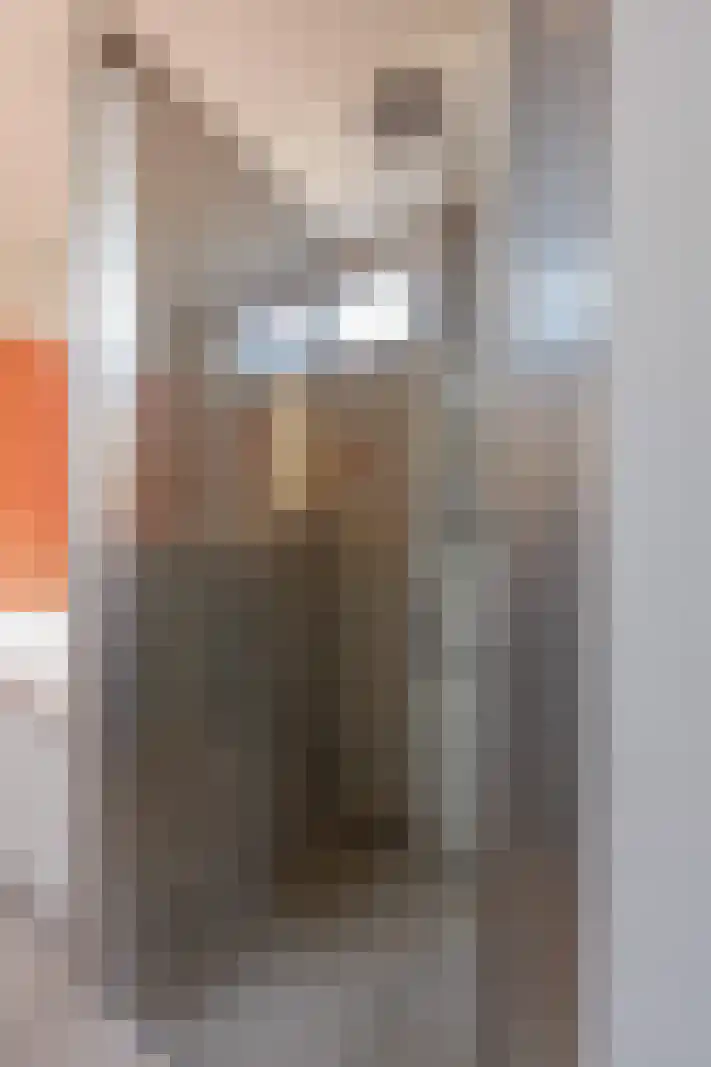 Acaciastraat 30 Utrecht thumbnail 30