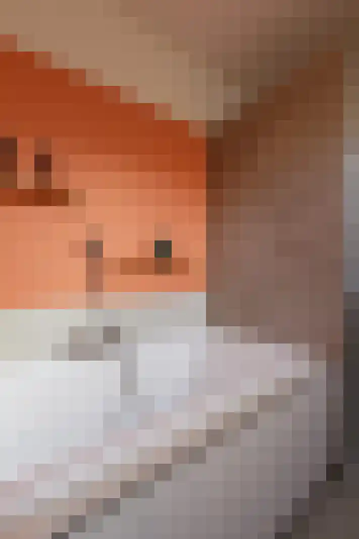 Acaciastraat 30 Utrecht thumbnail 31