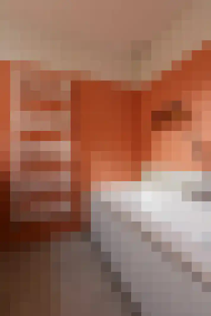 Acaciastraat 30 Utrecht thumbnail 32