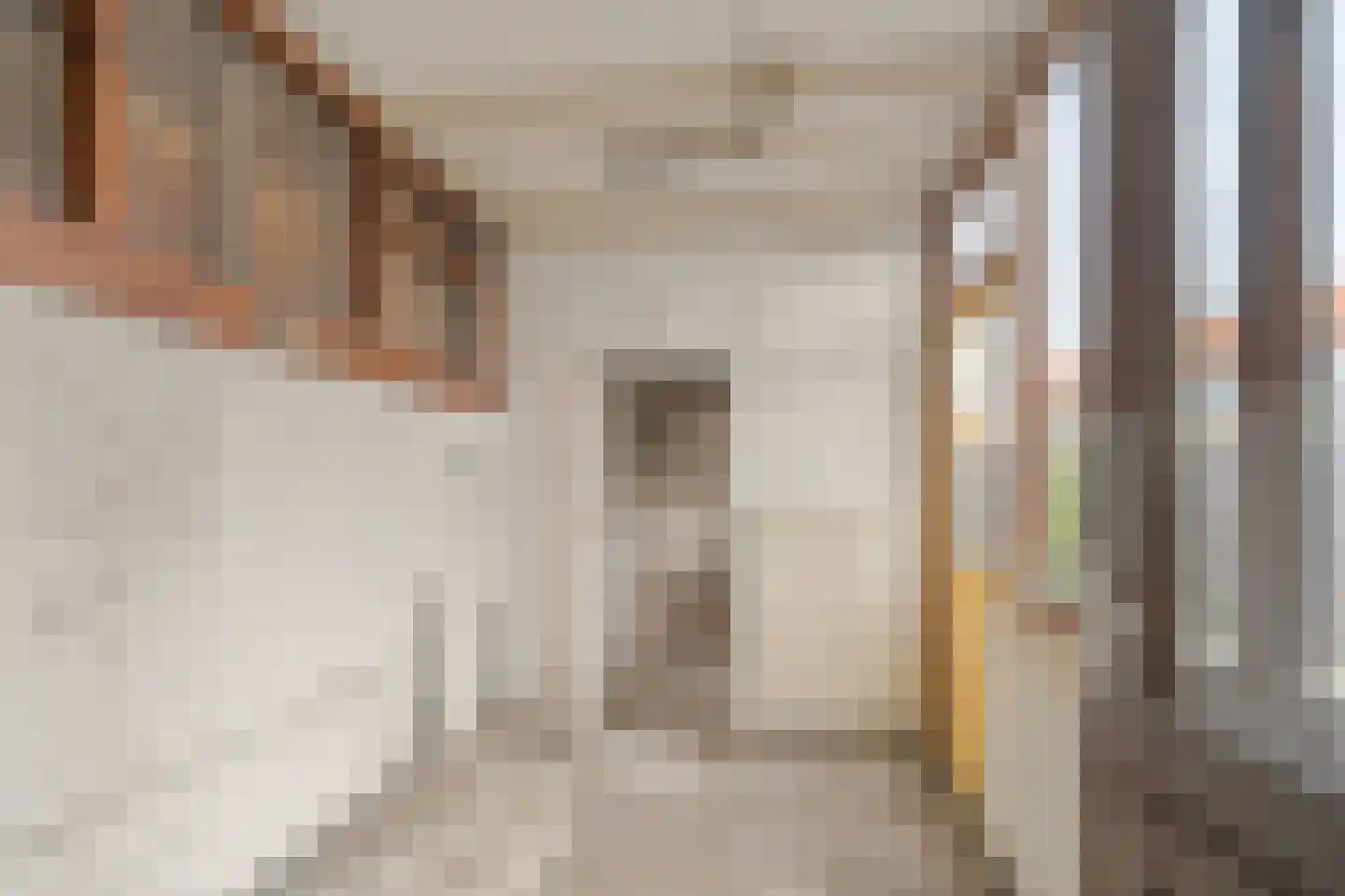 Acaciastraat 30 Waddinxveen thumbnail 12