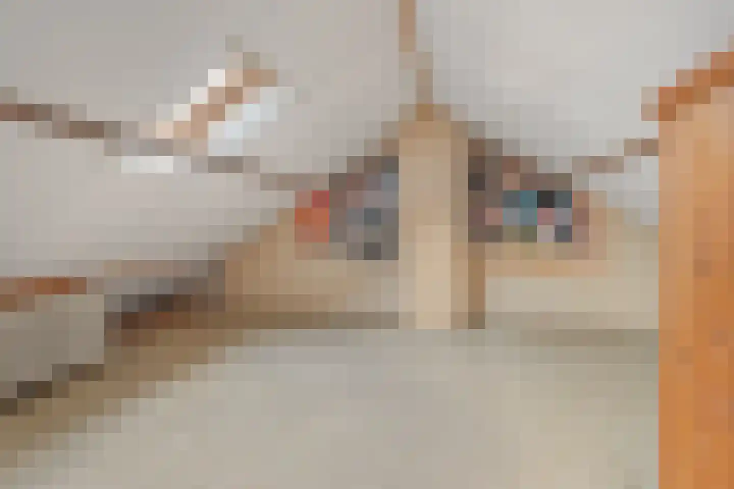 Acaciastraat 30 Waddinxveen thumbnail 29