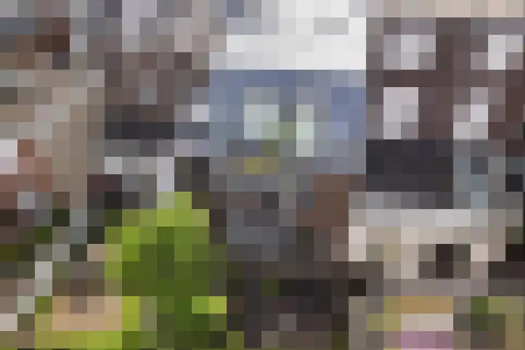 Acaciastraat 32 Nijmegen thumbnail 23