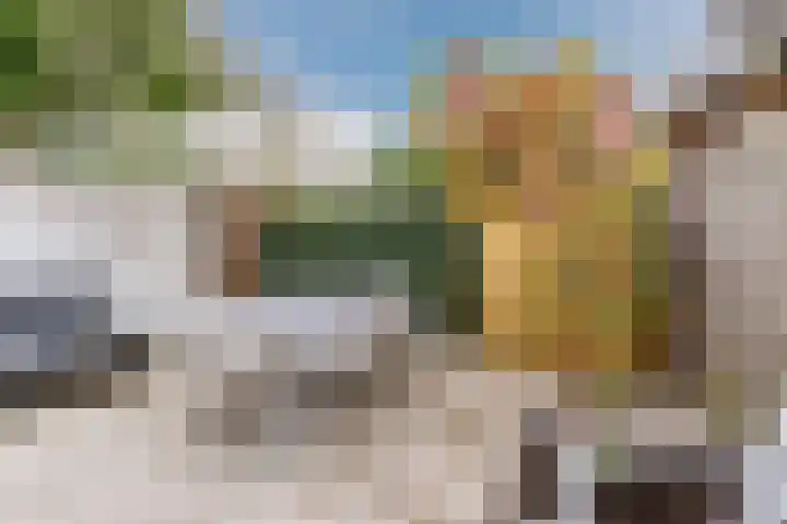 Acaciastraat 35 Breda thumbnail 21