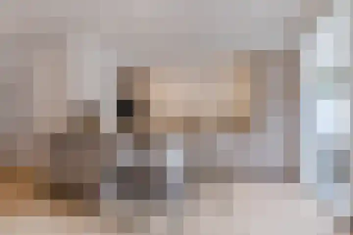 Acaciastraat 35 Breda thumbnail 4