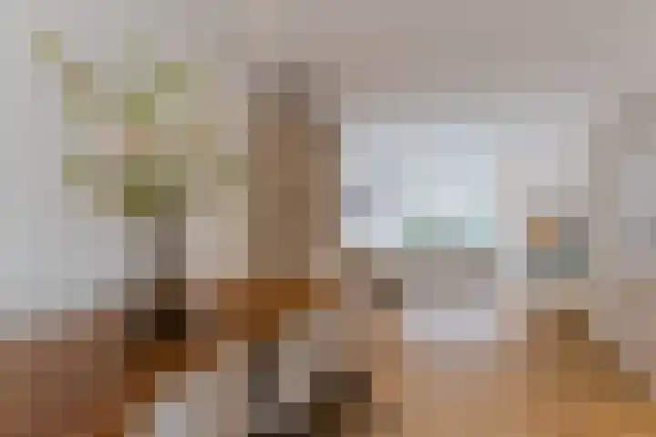 Acaciastraat 35 Breda thumbnail 8