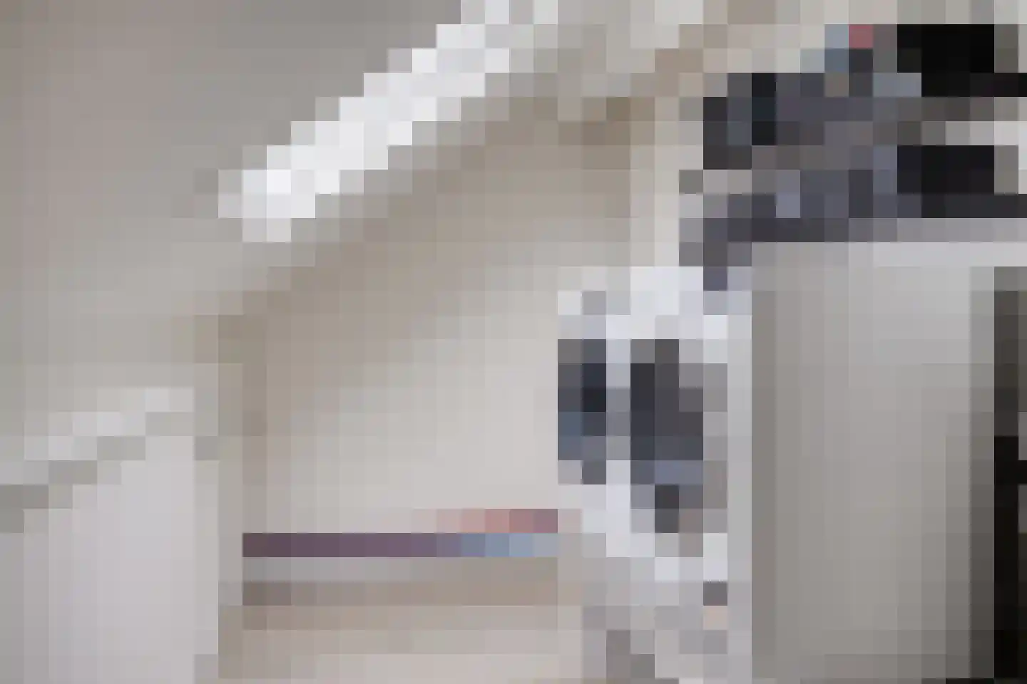 Acaciastraat 35 Lichtenvoorde thumbnail 36