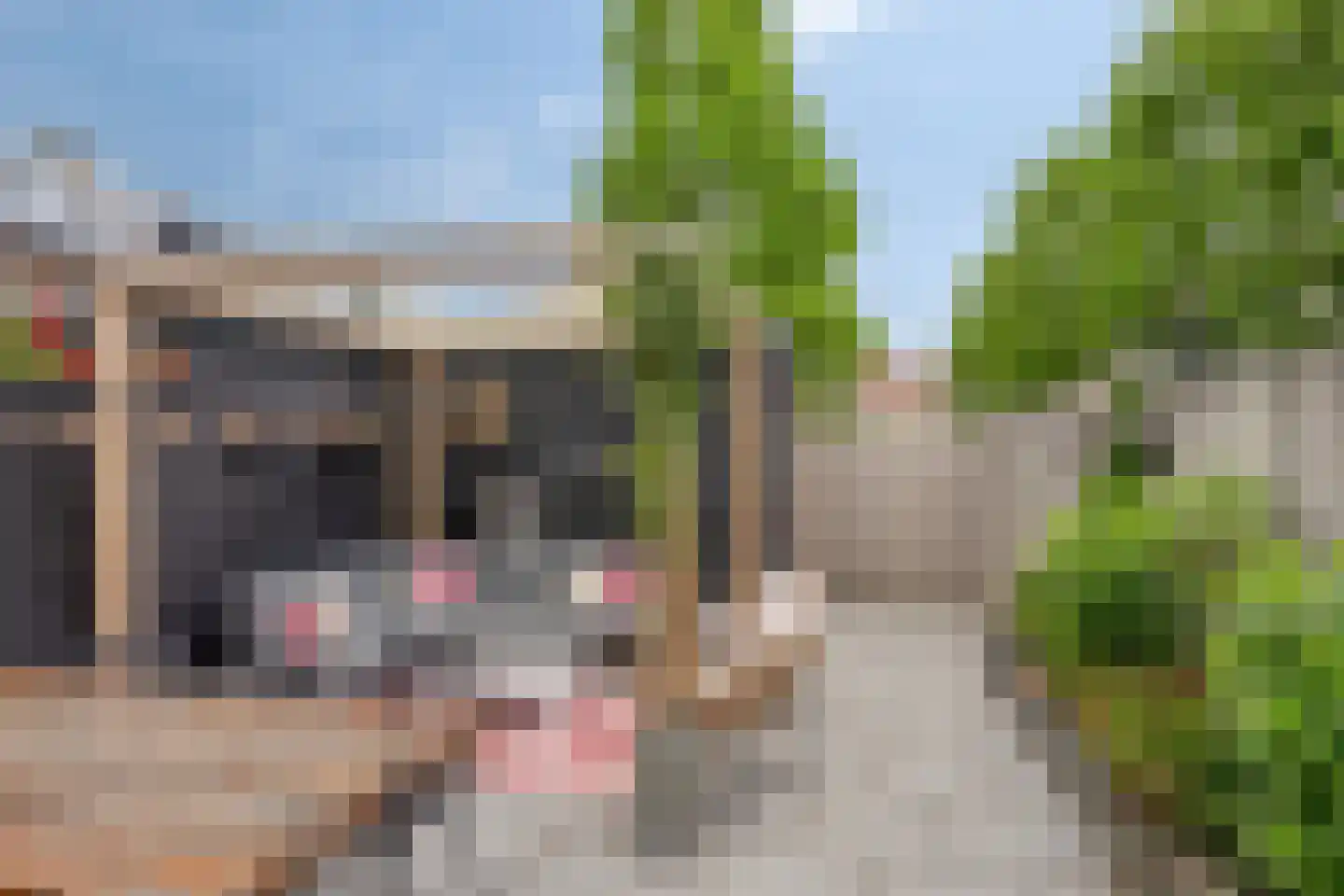 Acaciastraat 35 Lichtenvoorde thumbnail 4