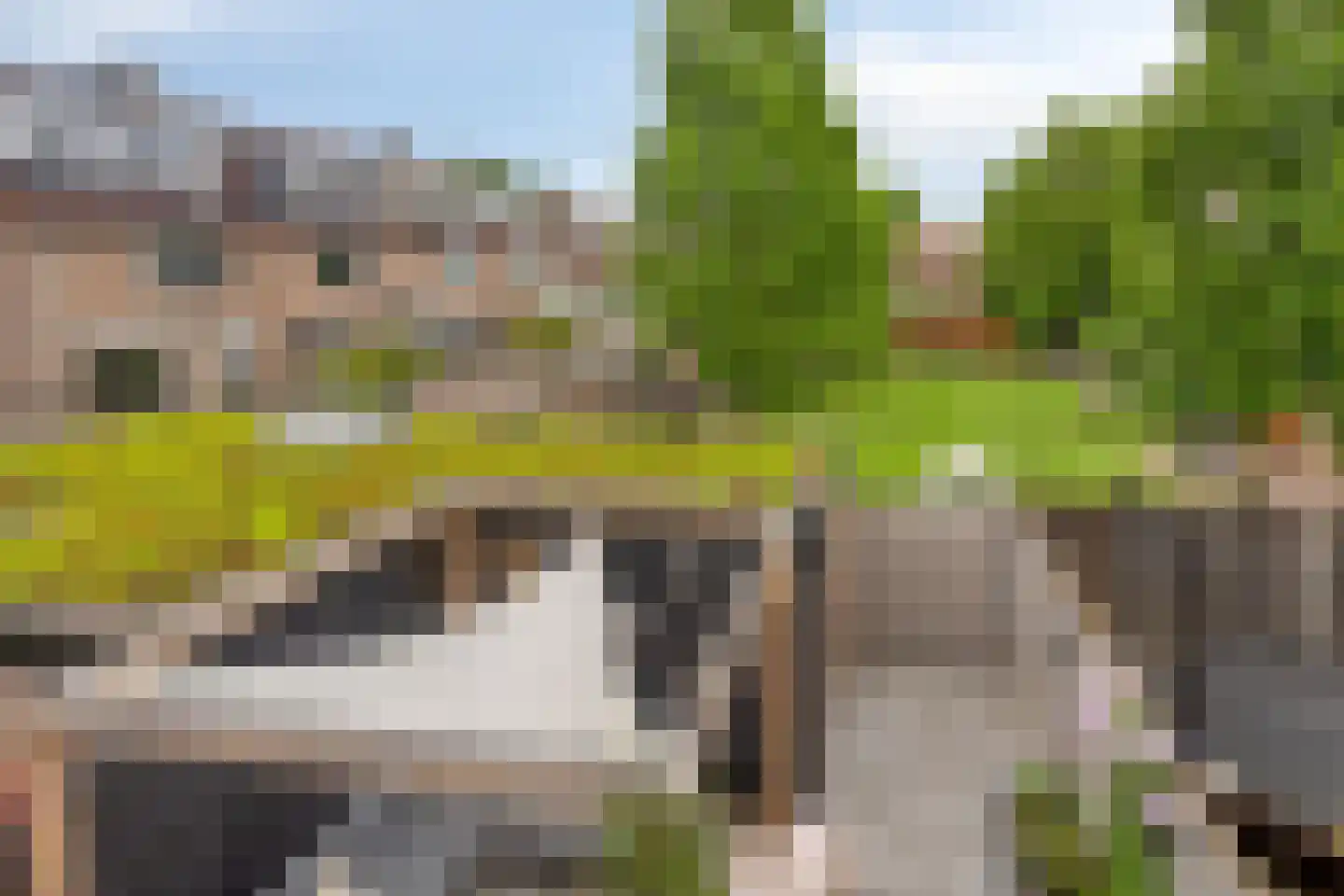 Acaciastraat 35 Lichtenvoorde thumbnail 41