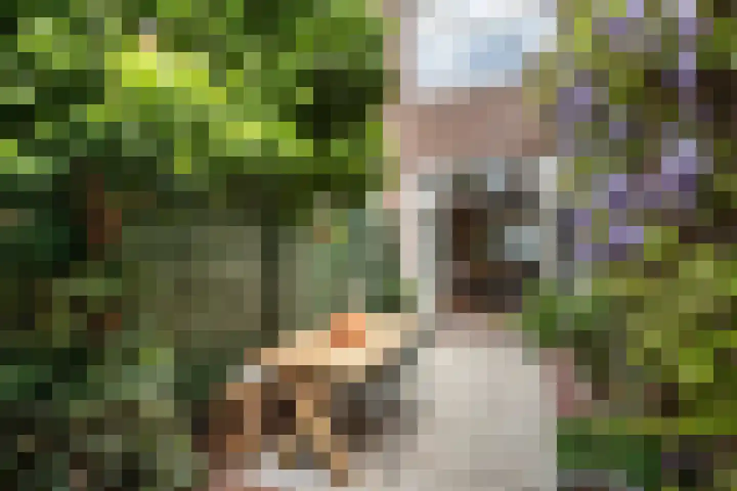 Acaciastraat 35 Utrecht thumbnail 22