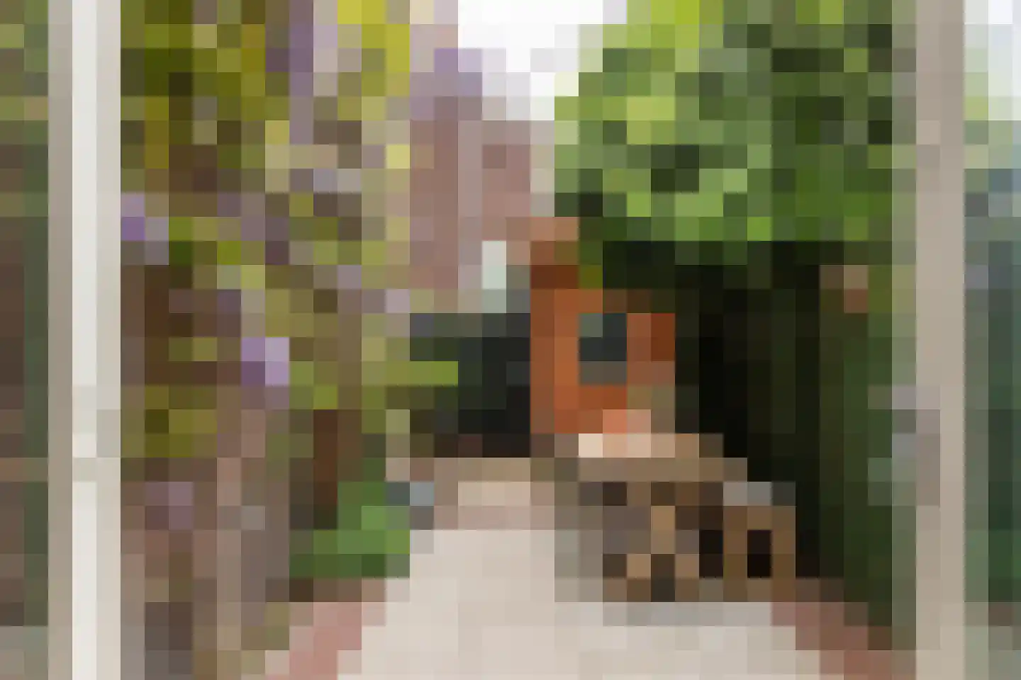 Acaciastraat 35 Utrecht thumbnail 5