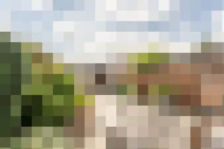 Acaciastraat 36 Oud-Beijerland thumbnail 29