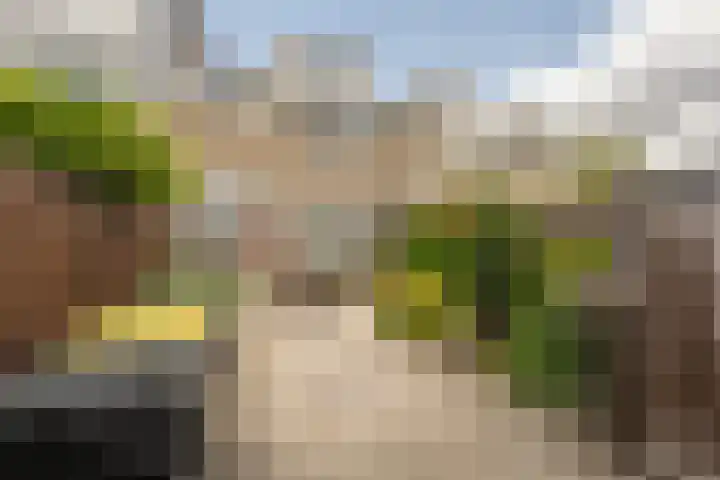 Acaciastraat 36 Oud-Beijerland thumbnail 30