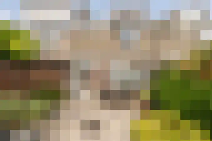 Acaciastraat 36 Oud-Beijerland thumbnail 31