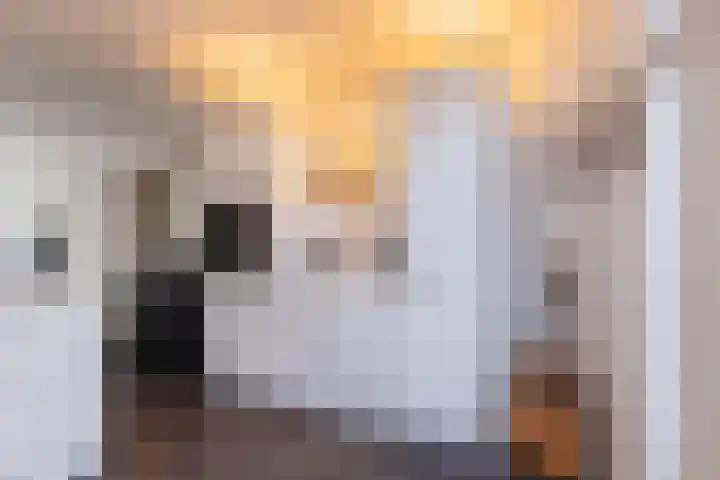 Acaciastraat 36 Utrecht thumbnail 10