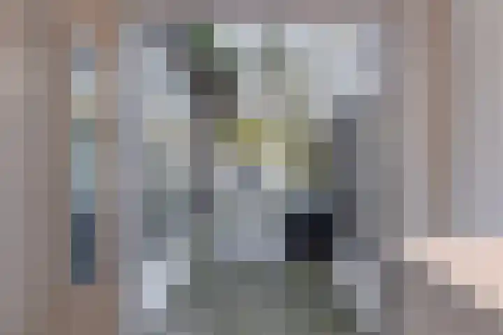 Acaciastraat 36 Utrecht thumbnail 14