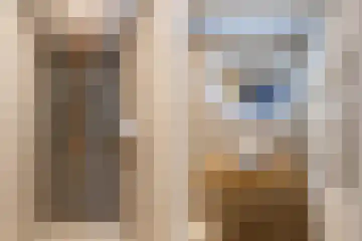 Acaciastraat 36 Utrecht thumbnail 23