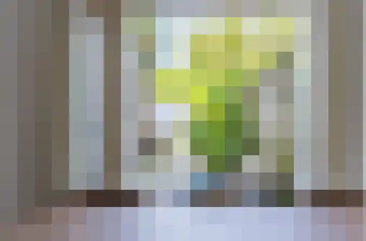 Acaciastraat 36 Utrecht thumbnail 24