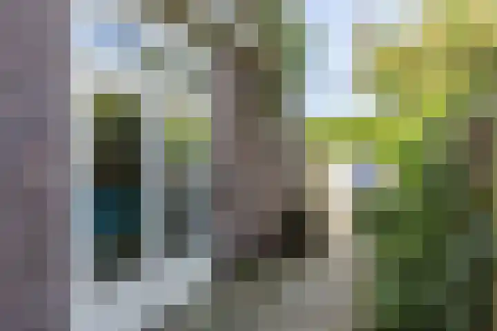 Acaciastraat 36 Utrecht thumbnail 25