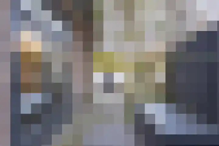 Acaciastraat 36 Utrecht thumbnail 26