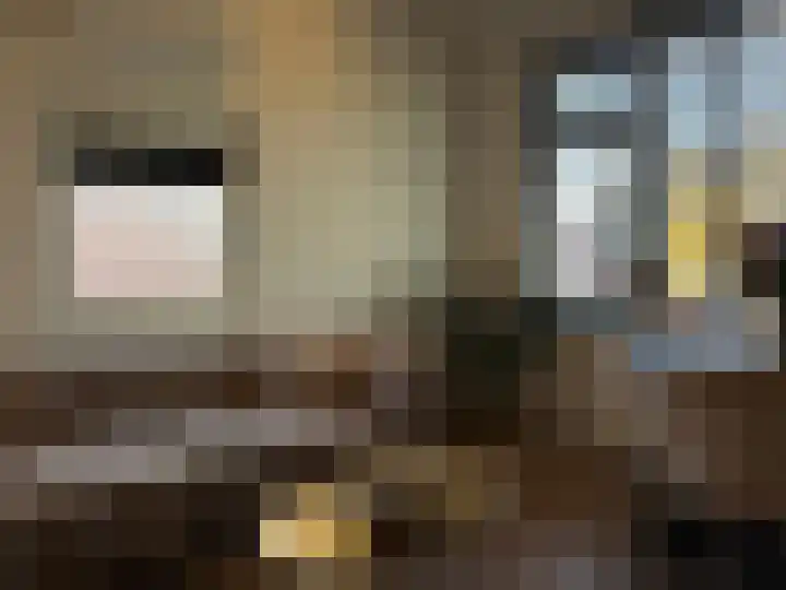 Acaciastraat 36 Wijchen thumbnail 10