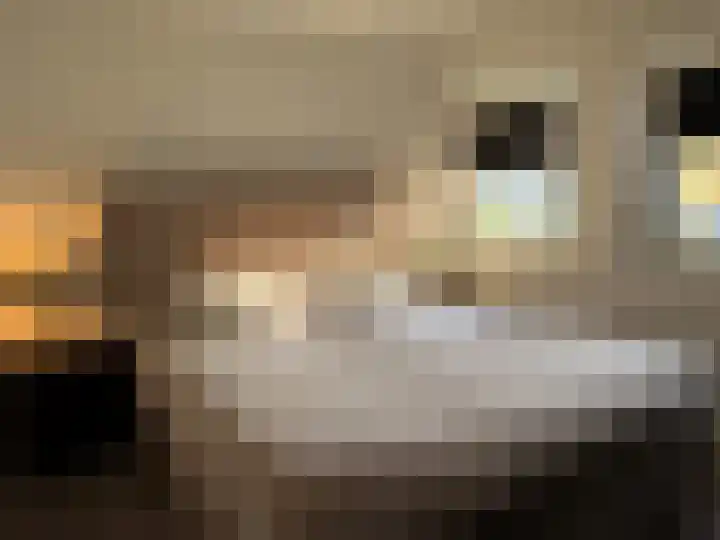 Acaciastraat 36 Wijchen thumbnail 13
