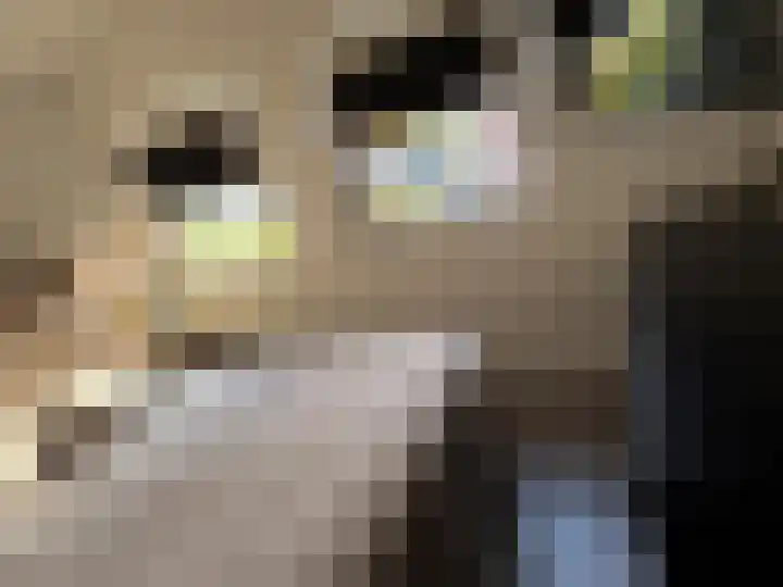 Acaciastraat 36 Wijchen thumbnail 14