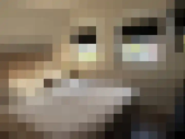 Acaciastraat 36 Wijchen thumbnail 15