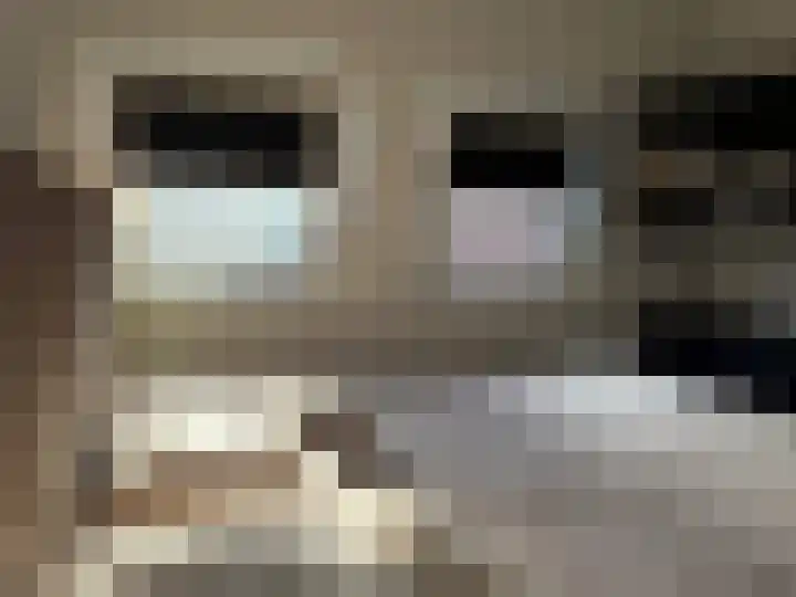 Acaciastraat 36 Wijchen thumbnail 16