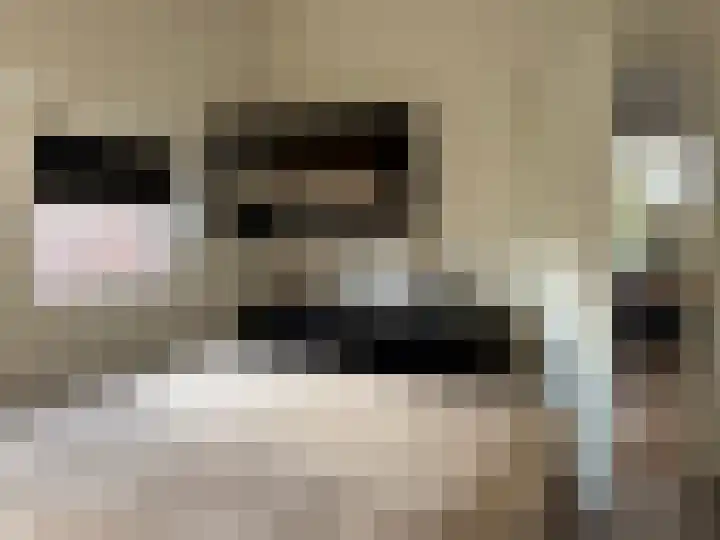 Acaciastraat 36 Wijchen thumbnail 18