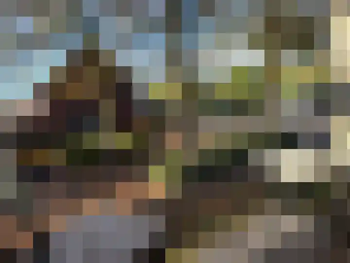 Acaciastraat 36 Wijchen thumbnail 23