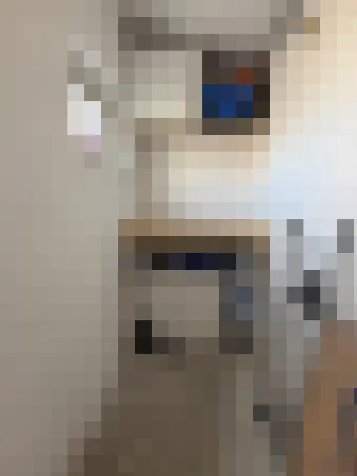 Acaciastraat 36 Wijchen thumbnail 35