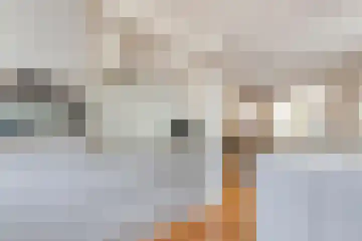 Acaciastraat 37 Made thumbnail 19