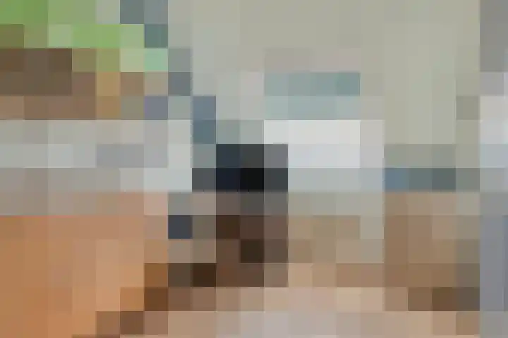 Acaciastraat 37 Made thumbnail 28