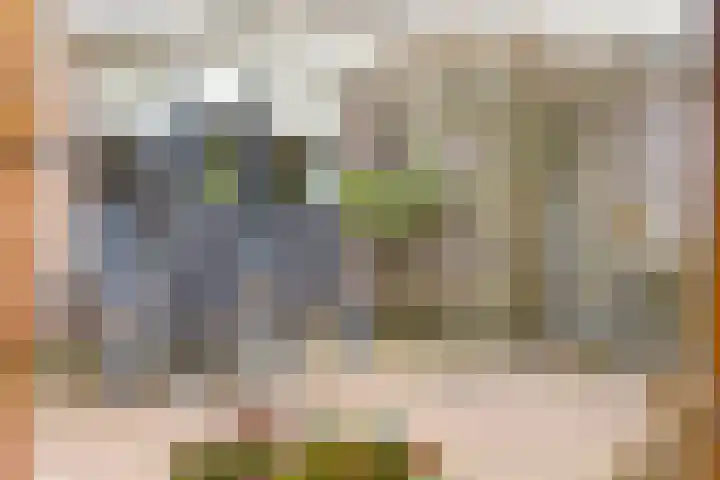 Acaciastraat 37 Made thumbnail 49
