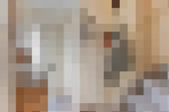 Acaciastraat 37 Made thumbnail 7