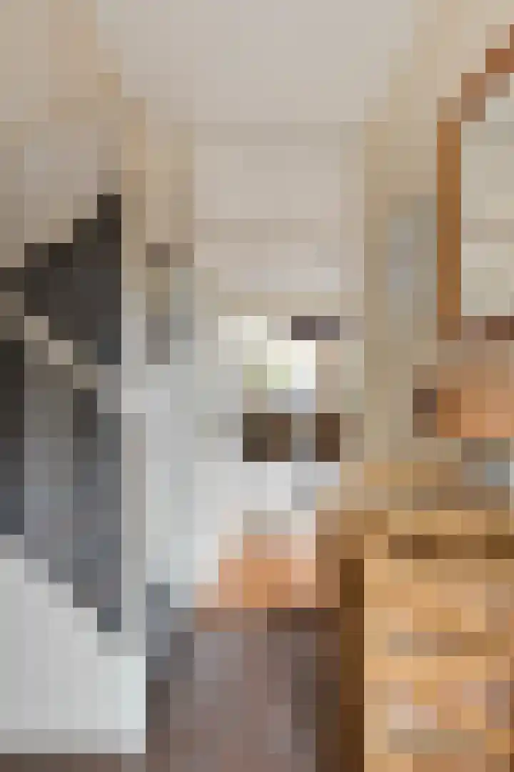 Acaciastraat 37 Made thumbnail 8