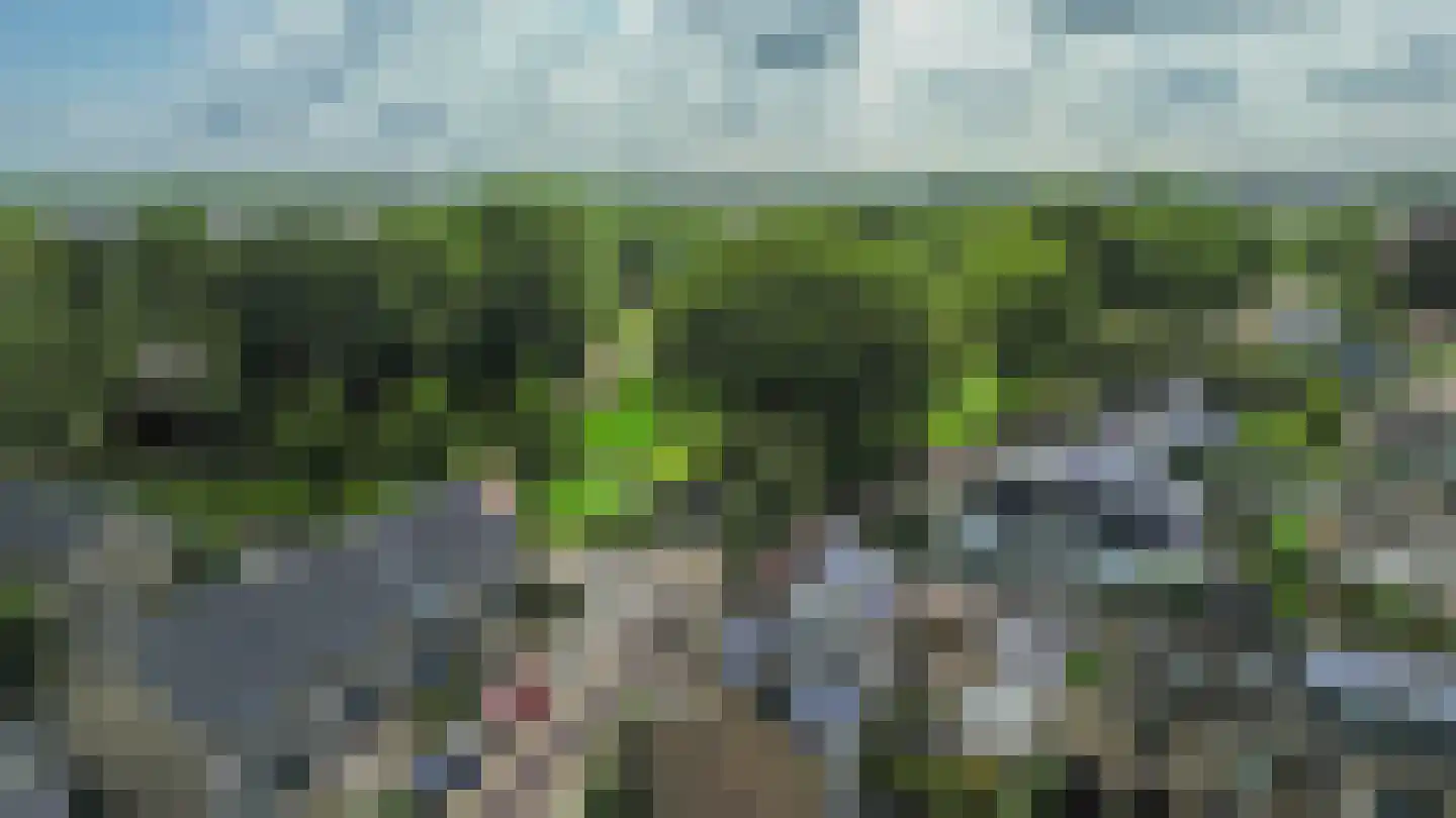 Acaciastraat 38 Oud-Beijerland thumbnail 36