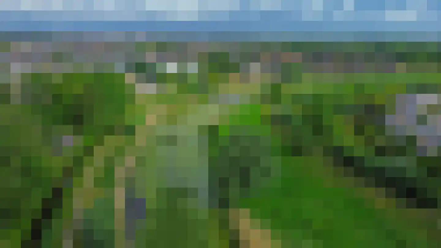 Acaciastraat 38 Oud-Beijerland thumbnail 38