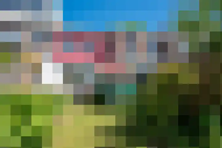 Acaciastraat 39 Haarlem thumbnail 19